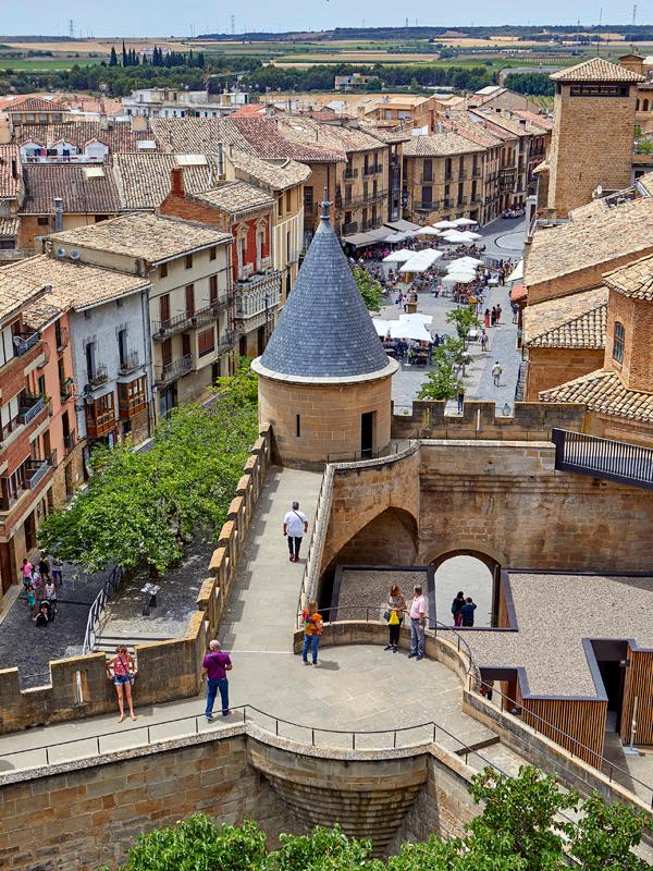 Vista de Olite desde una de las torres del Palacio